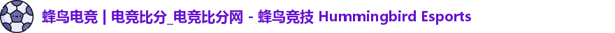 蜂鸟电竞